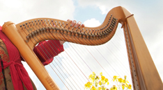 harpist harpiste foto_1